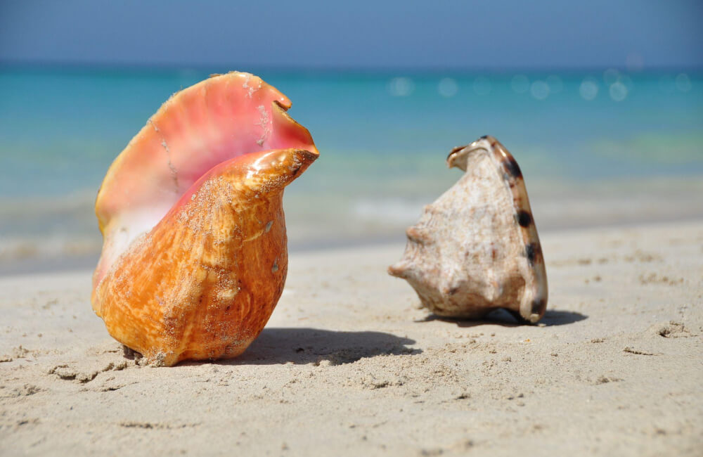 Czy warto zabrać zegarek na plażę?