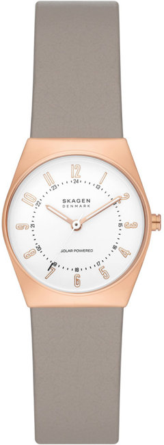 Skagen SKW3079