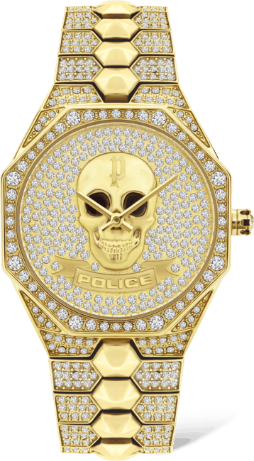 Police PL.16027BSG/22M