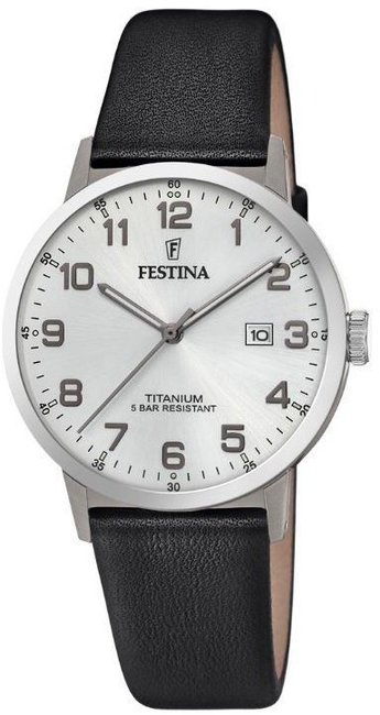 Festina Titanium Date F20471-1