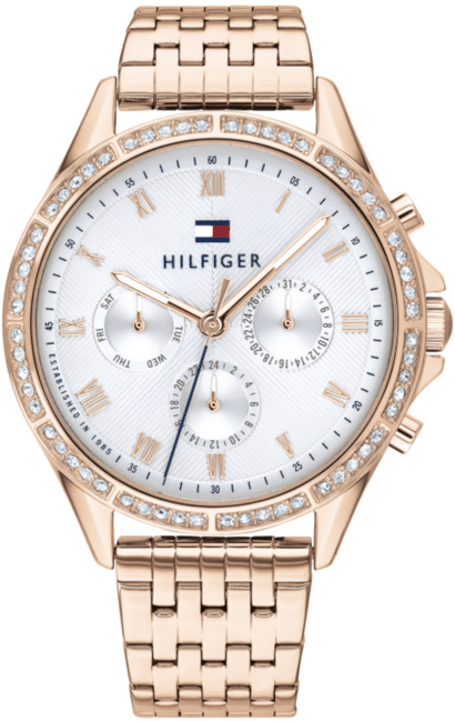 Tommy Hilfiger Ari 1782143