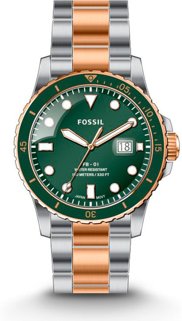 Fossil FS5743