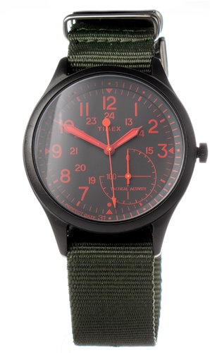 Timex TW2V11000LG