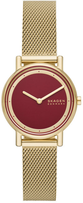 Skagen SKW3117