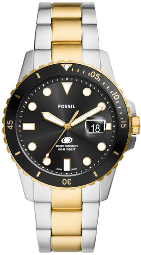 Fossil FS6031