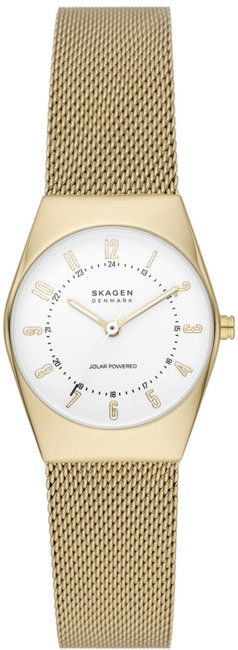 Skagen SKW3077