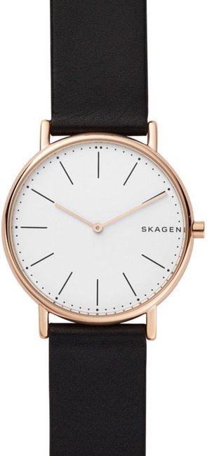 Skagen Signatur SKW6430