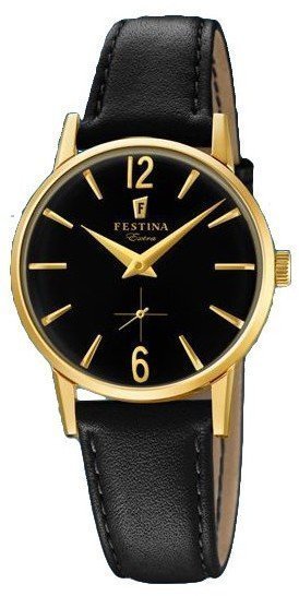 Festina Extra F20255-3