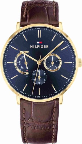 Tommy Hilfiger Dane 1710376