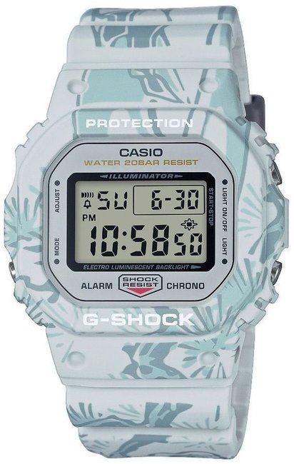 Casio G-Shock DW-5600SLG-7DR