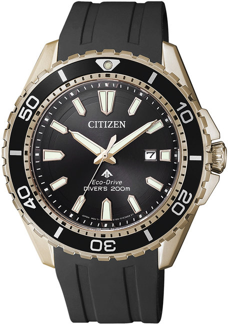 Citizen Promaster BN0193-17E