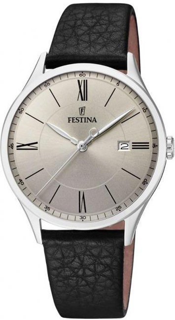 Festina Classic Strap F16978-2