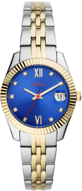 Fossil ES4899