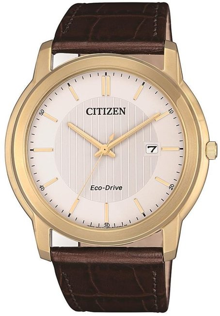 Citizen Leather AW1212-10A