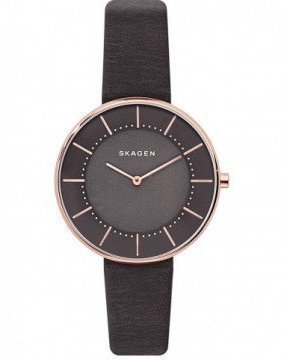 Skagen SKW2613