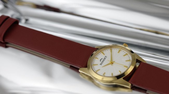 Bisset BSAD56GISX03BX