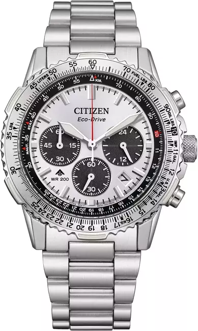 Citizen Promaster CA4660-61A