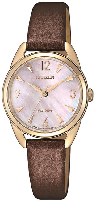 Citizen Leather EM0686-14D