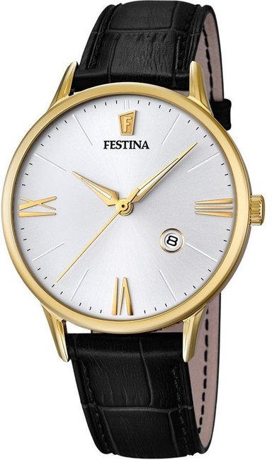 Festina Classic Strap F16825-1