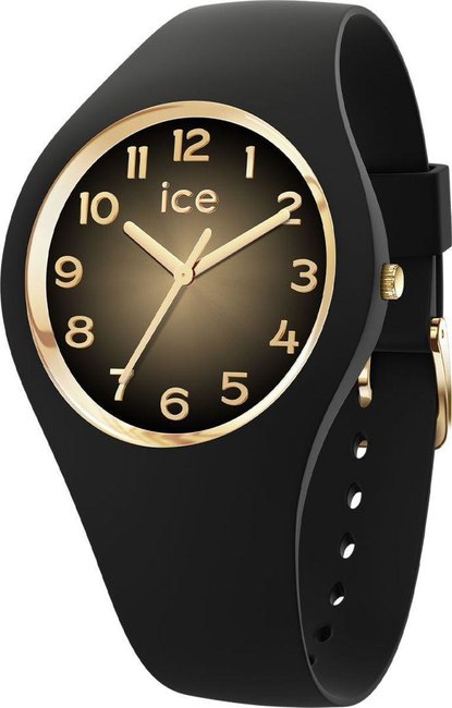 Ice Watch 021510