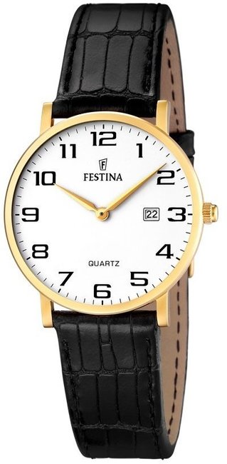 Festina Classic Strap F16479-1