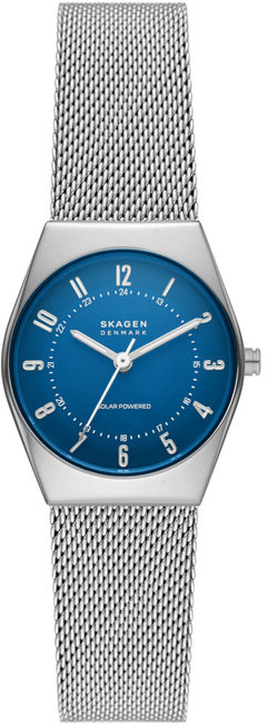 Skagen SKW3080