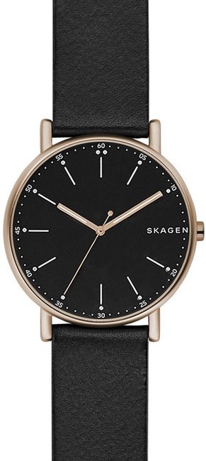 Skagen Signatur SKW6401