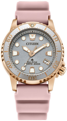 Citizen EO2023-00A