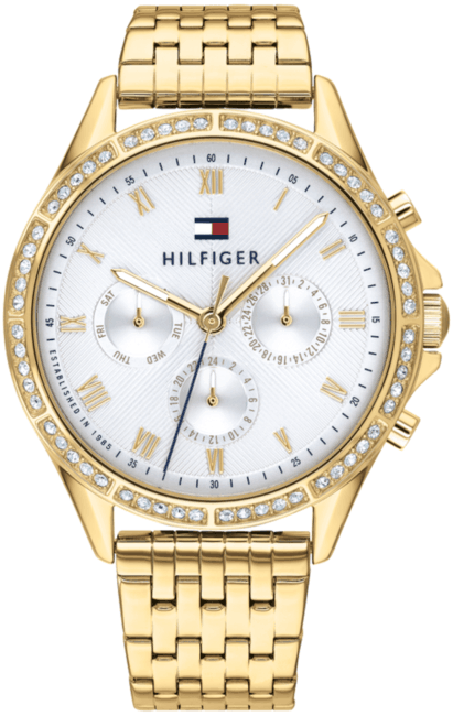 Tommy Hilfiger Ari 1782142