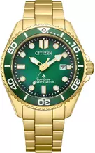 Citizen Promaster BN0262-59W