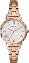 Fossil Daisy ES4791