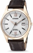 Citizen Radio Controlled AS2053-11A