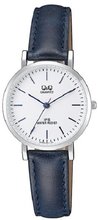 Q&Q QZ03-301