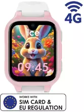 Ice Watch 025270