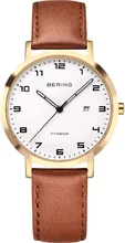 Bering Titanium 18634-534