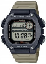 Casio Collection DW-291HX-5AV