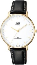 Q&Q QZ00-101