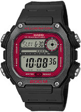Casio Sports DW-291H-1BVEF