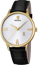 Festina Classic Strap F16825-1