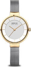 Bering Solar 14631-024