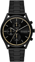 Skagen SKW6910