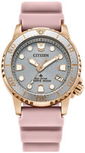 Citizen EO2023 00A