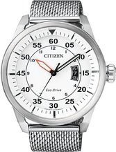 Citizen Classics AW1360-55A